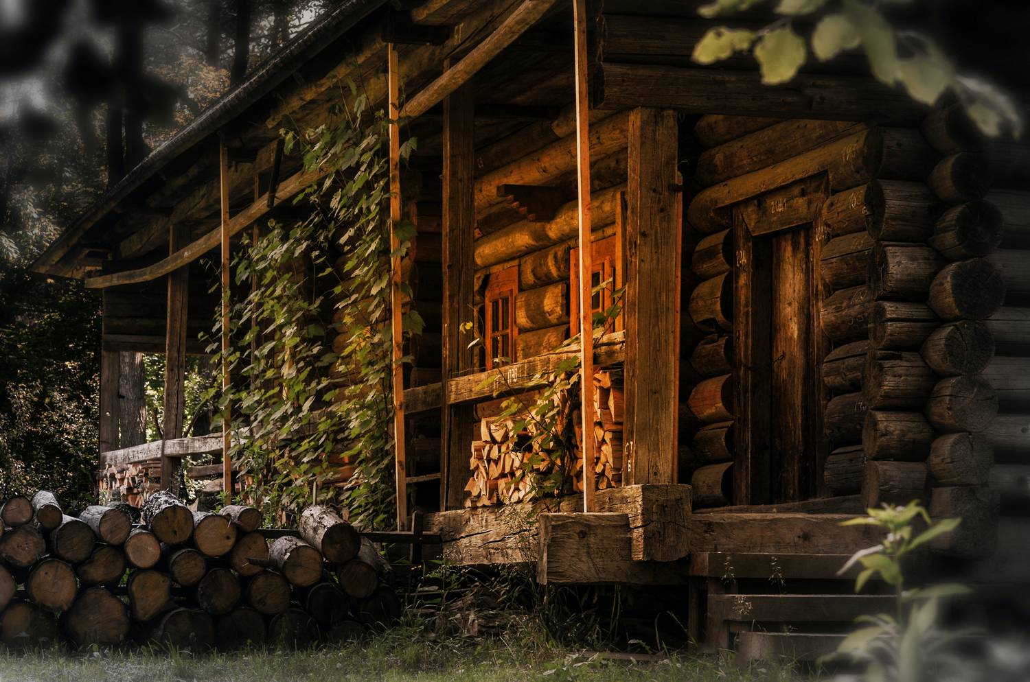 Jak się buduje domy z drewna hbe?